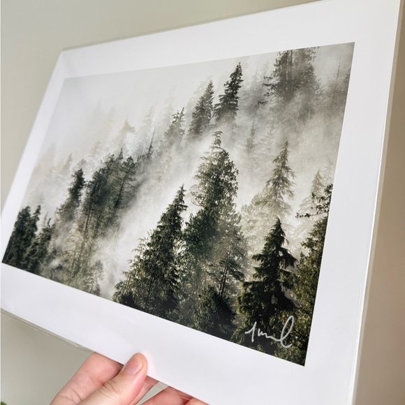 BNIB Original Jeremy Koreski Print - Forest Fog - Picture 4 of 5